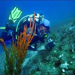 Ruhiges Mit Terrasse In Strandnaehe By Interhome Apartment Zadar