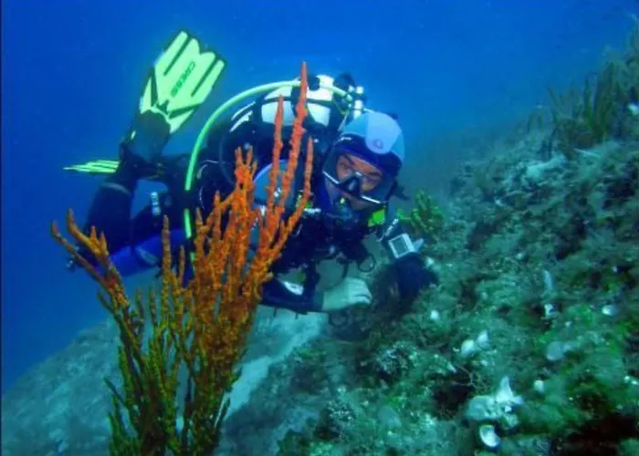 Ruhiges Mit Terrasse In Strandnaehe By Interhome Apartment Zadar